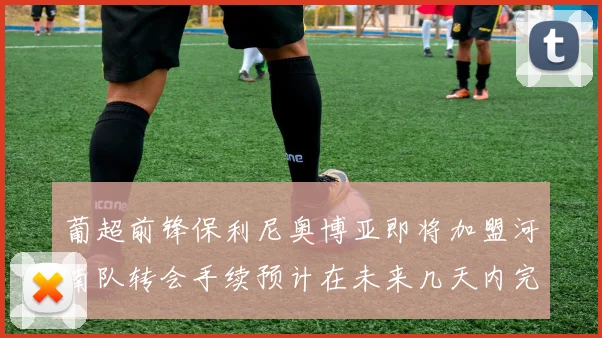 葡超前锋保利尼奥博亚即将加盟河南队转会手续预计在未来几天内完成